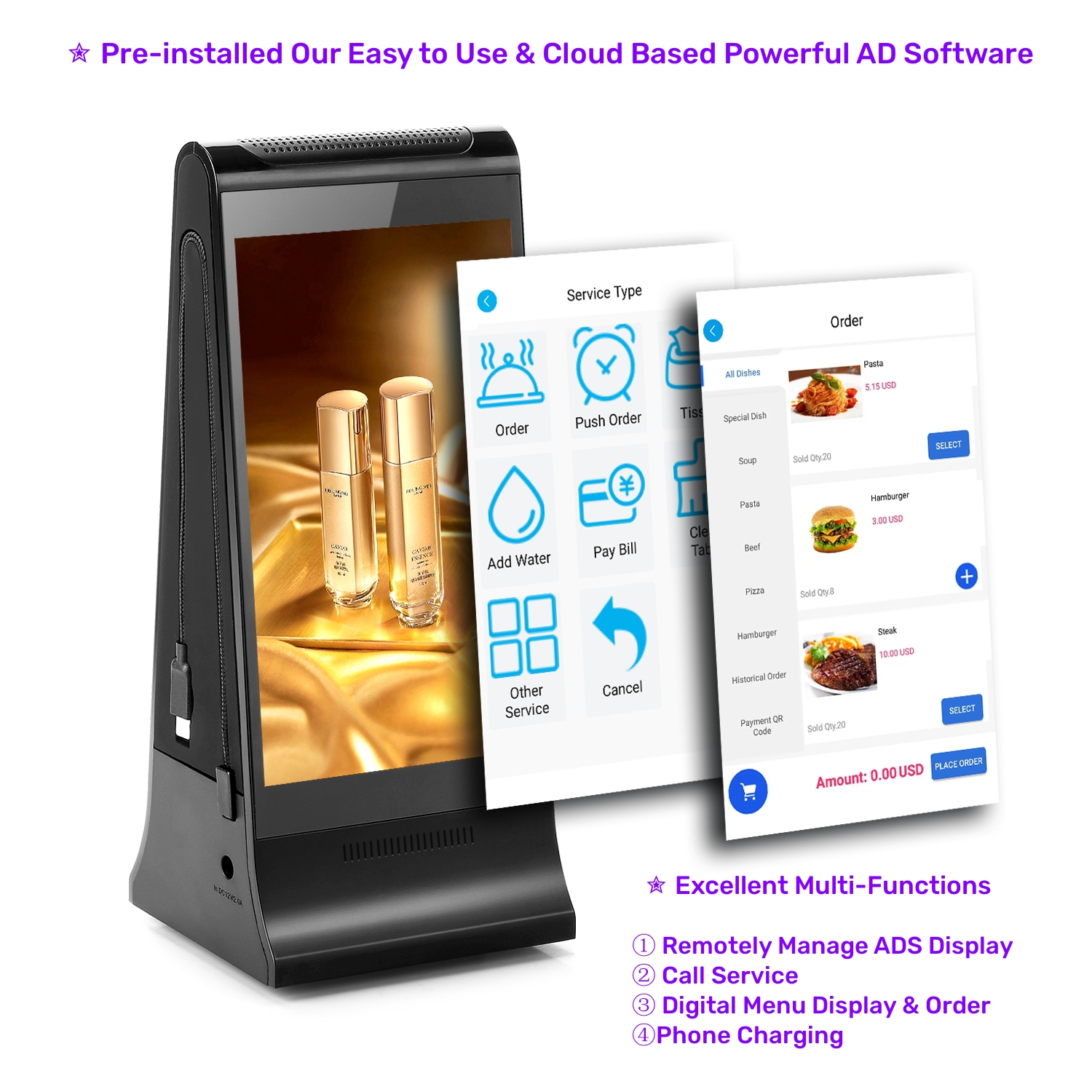 868SD-ADS etc.jpg